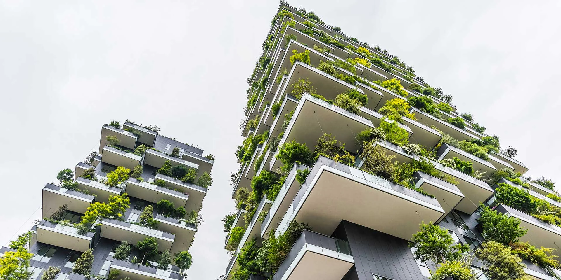 Green-Building.jpg