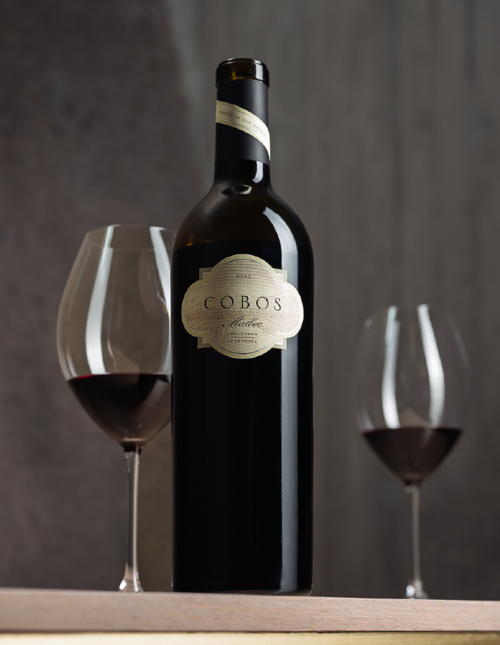 imagenes_imagen final mob mb.webp