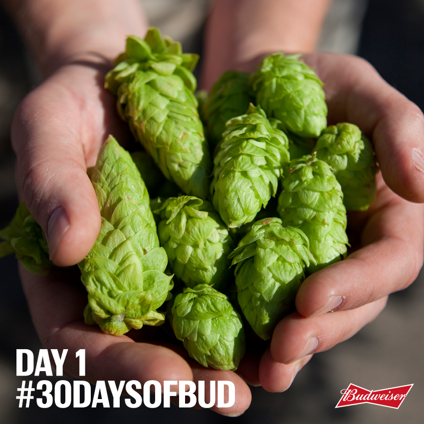 57531-30-Days-of-Bud_v2.png