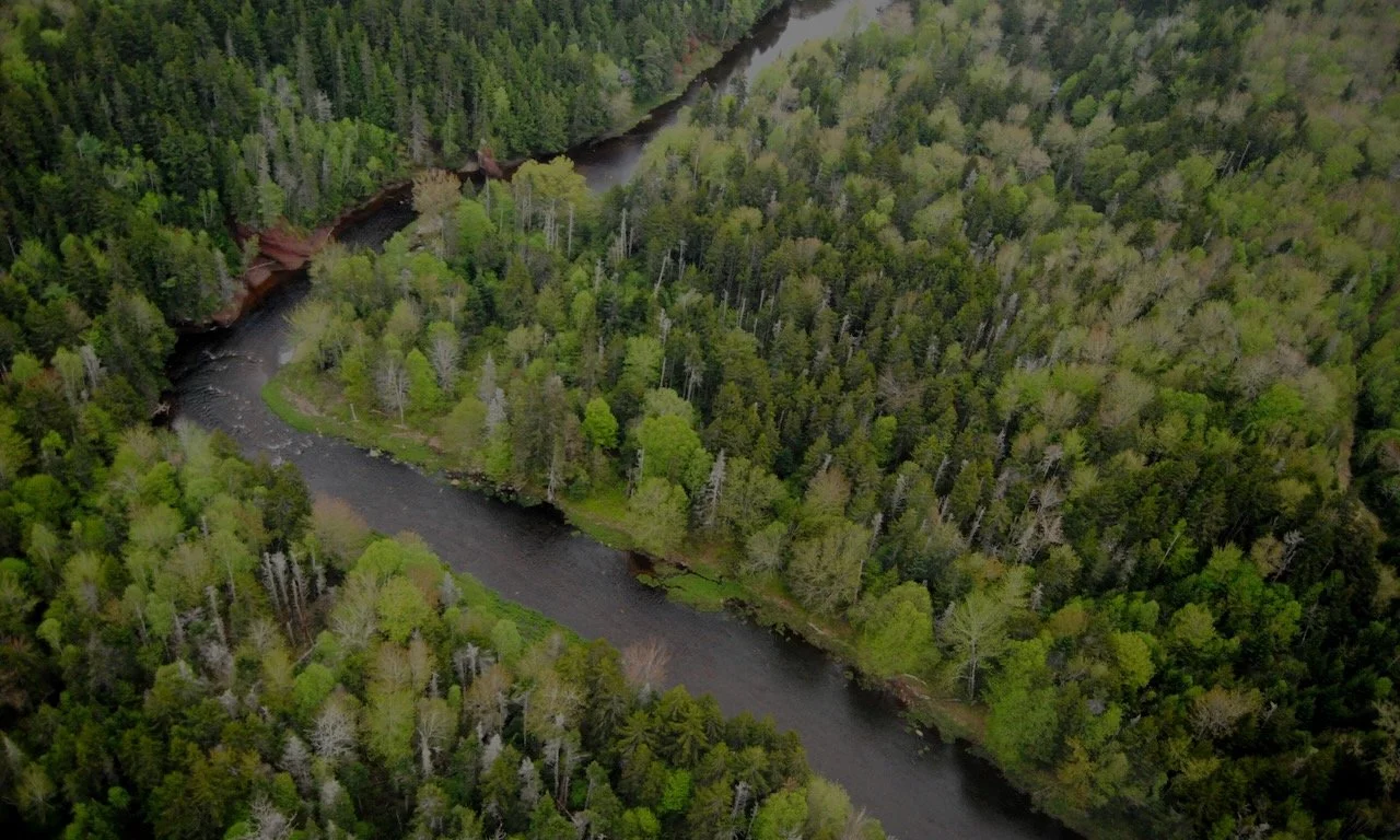 Climate Resilience Leadership Journey Squarespace Banners (2500 x 1500px.).jpeg