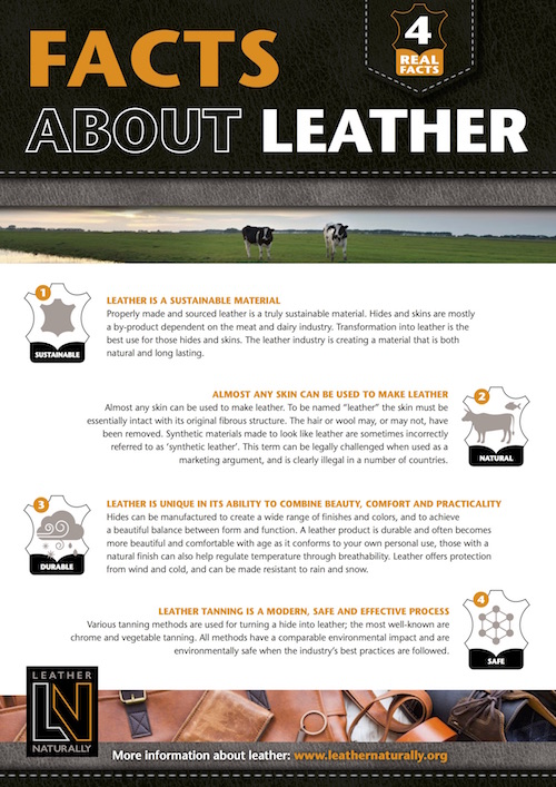 Fact-Sheet-Teaser.jpeg