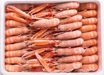 WHOLE LANGOUSTINE Net Weight: 1.35kg | 1.5kg | 3kg Format: Frozen Size Grade: 10-15 | 16-20 | 21-30 | 31-40 | 41-50 | 5-9 Notes: Packed in polystyrene boxes. Graded and sized by individual langoustine amount per Kilo