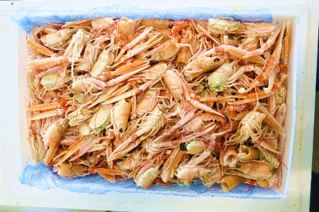 LANGOUSTINE HEADS & CLAWS (Discards) Net Weight: 5kg Format: Frozen Notes: Packed in cartons