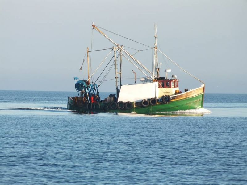 ROSEMARY ANN B279Type : Trawler à coque en boisTaille : 13.72mConstruit : 1965 ; Girvan