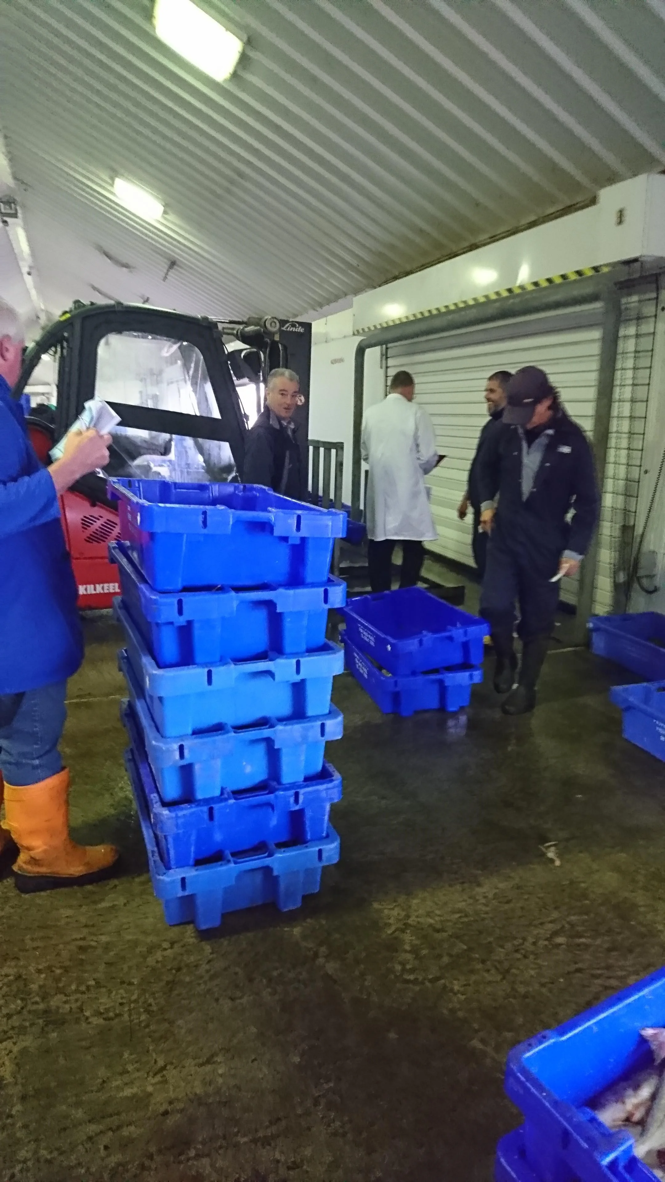 Fish Market 3.jpg