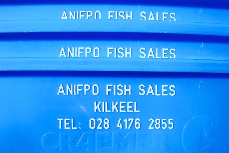 ANIFPO Fish Box.jpg