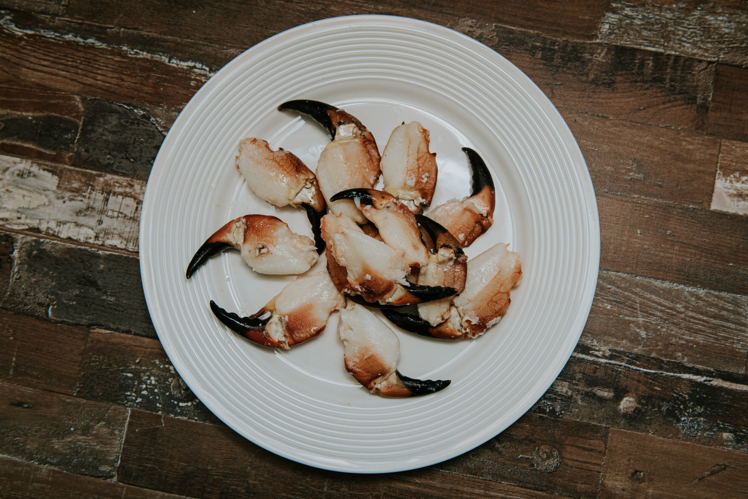 Mini Crab Claws 3.jpg