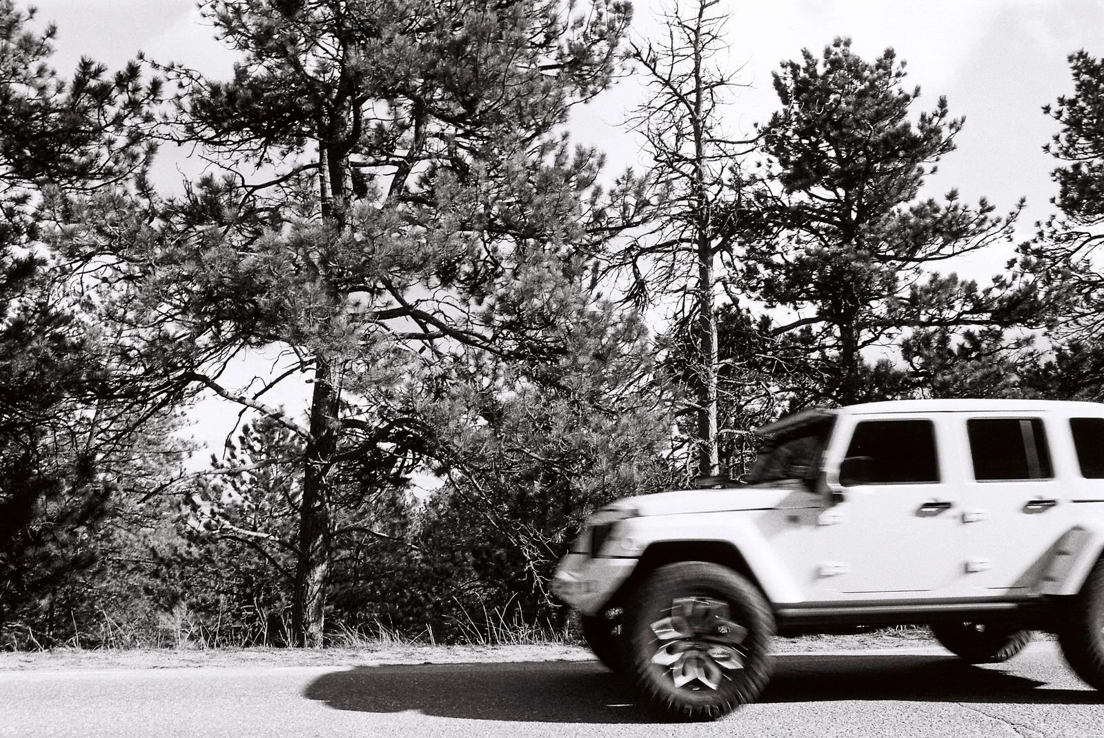 Black and white OR Color?  What would you chose?