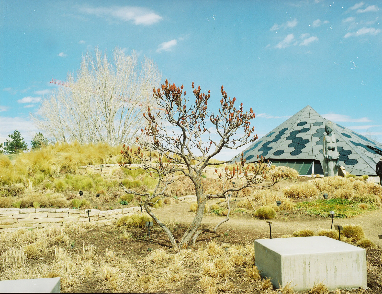  For as much as I love cool colors, the warmth that the film revealed in this exterior location is serious eye candy to me. 