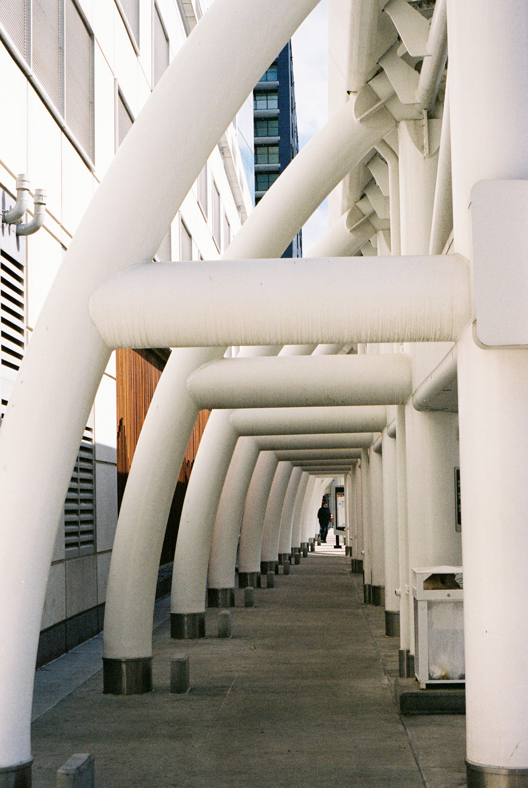 Being inspired in the concrete jungle.
