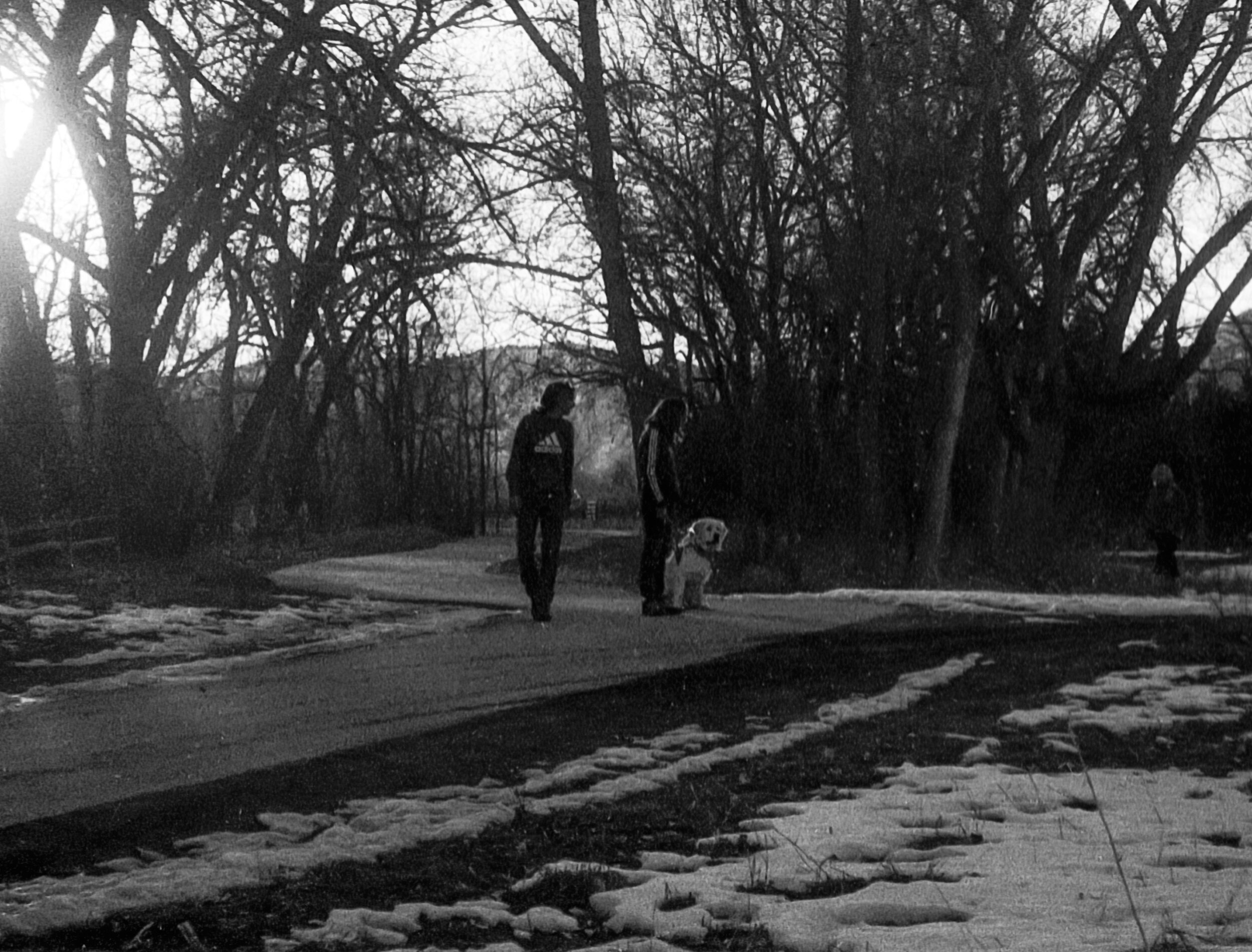 Quiet couple and their pup, walking before dusk