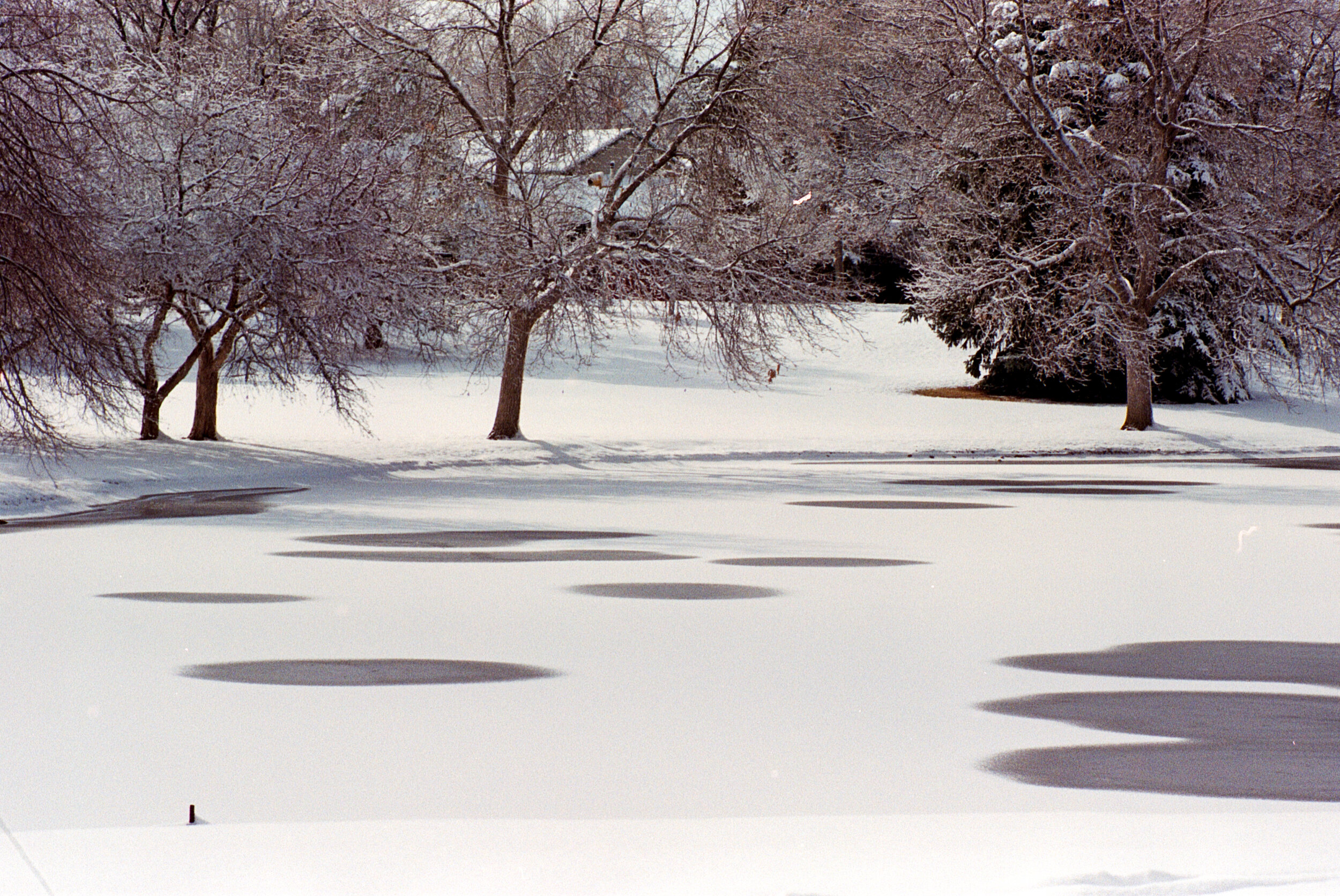 The pond and its winter coat