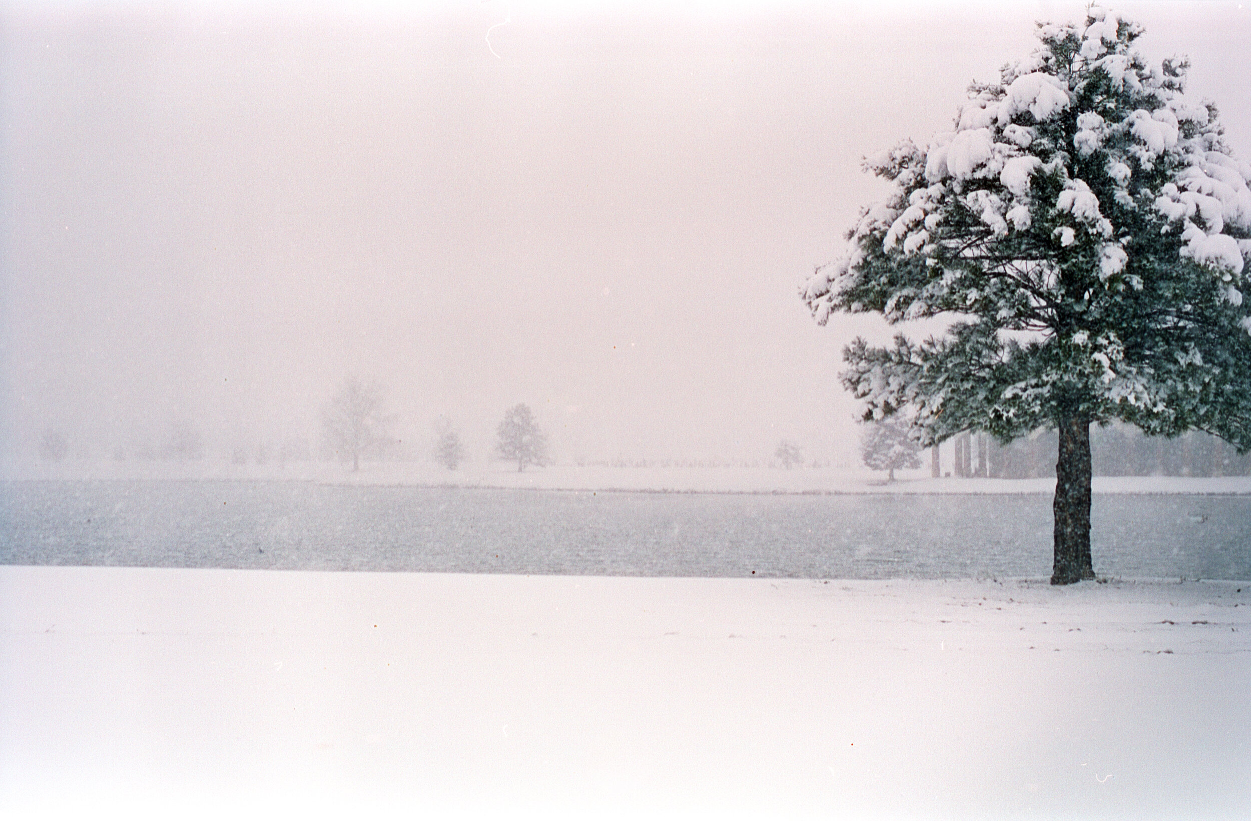 A quite pond hidden by blowing snow