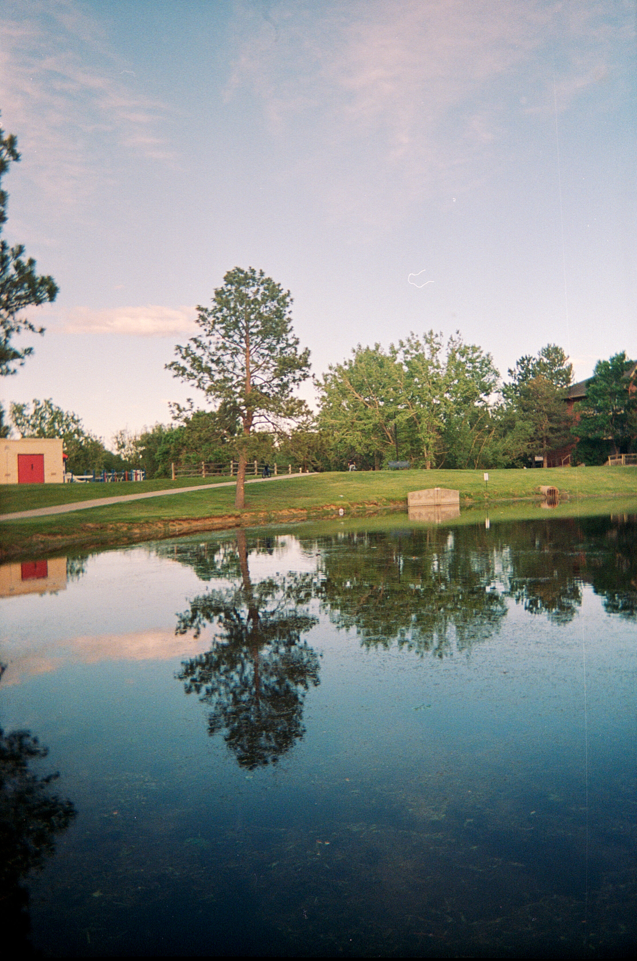 Sunset reflections at the pond we walk to just about every night