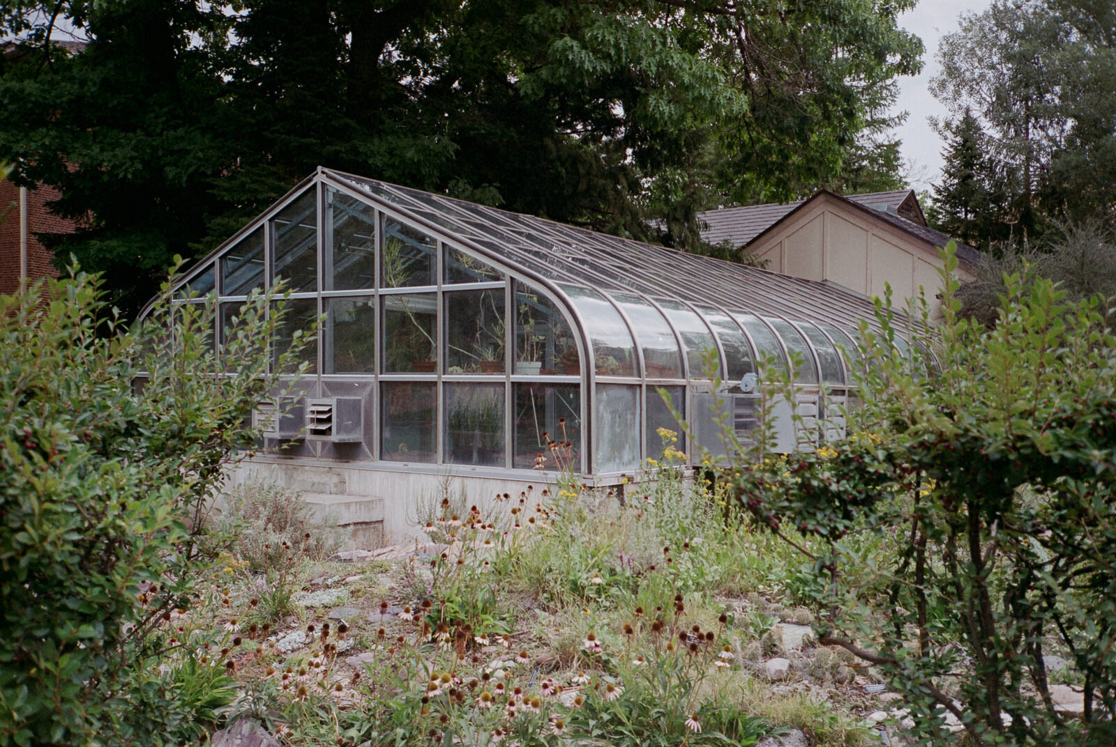 I just liked this greenhouse...