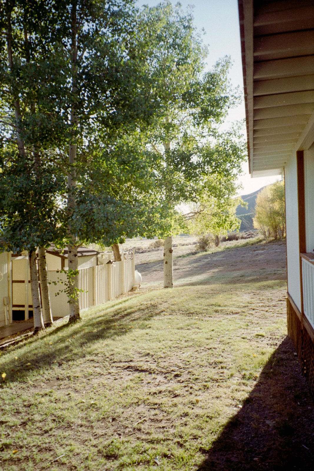 The side of the cabin had the best evening light...