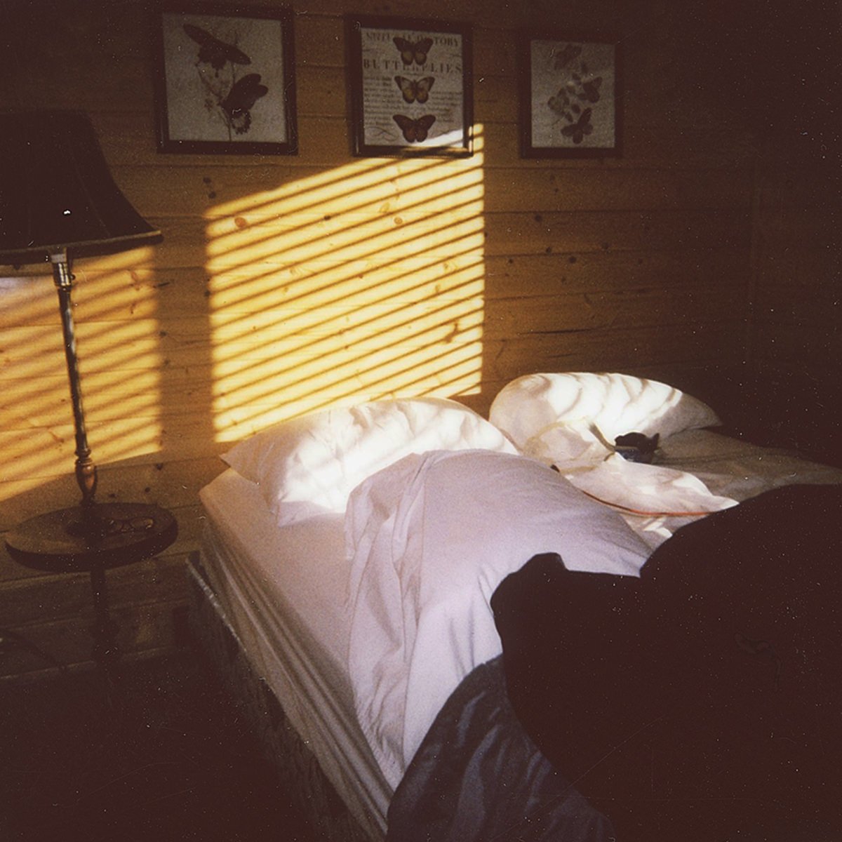 Also in Gunnison, the morning light as it streamed into our room in the cabin. The warmth it created was, well, comforting.