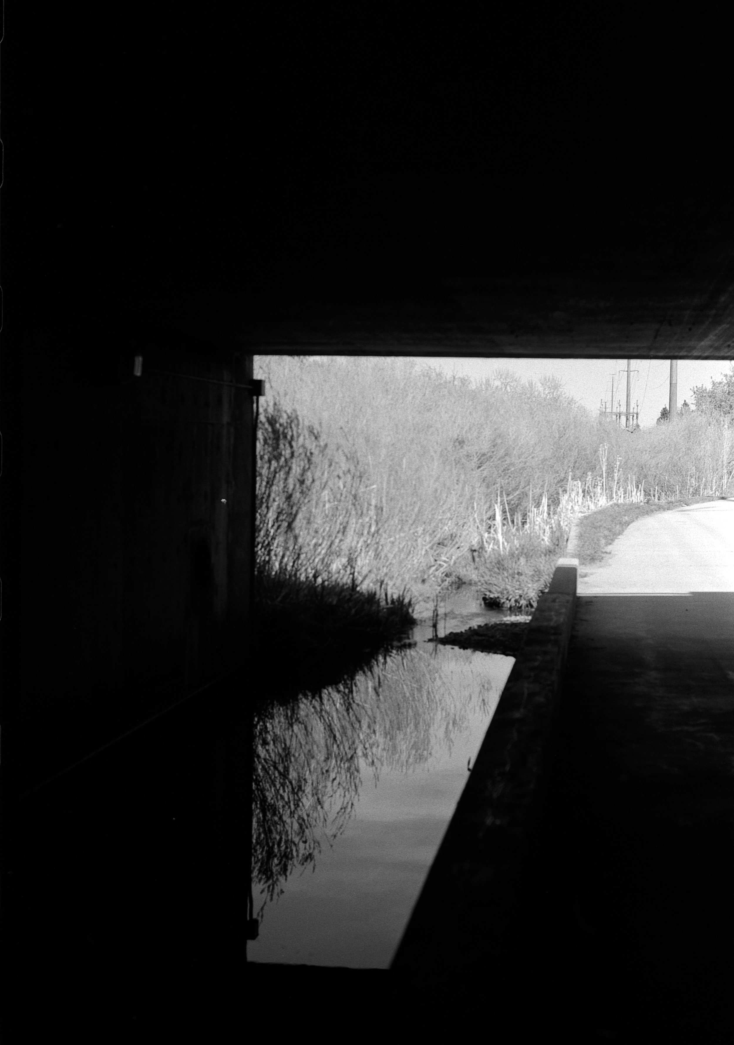 A quick walk at work, I see this passage every time, and this time, the reflections and light were incredible.