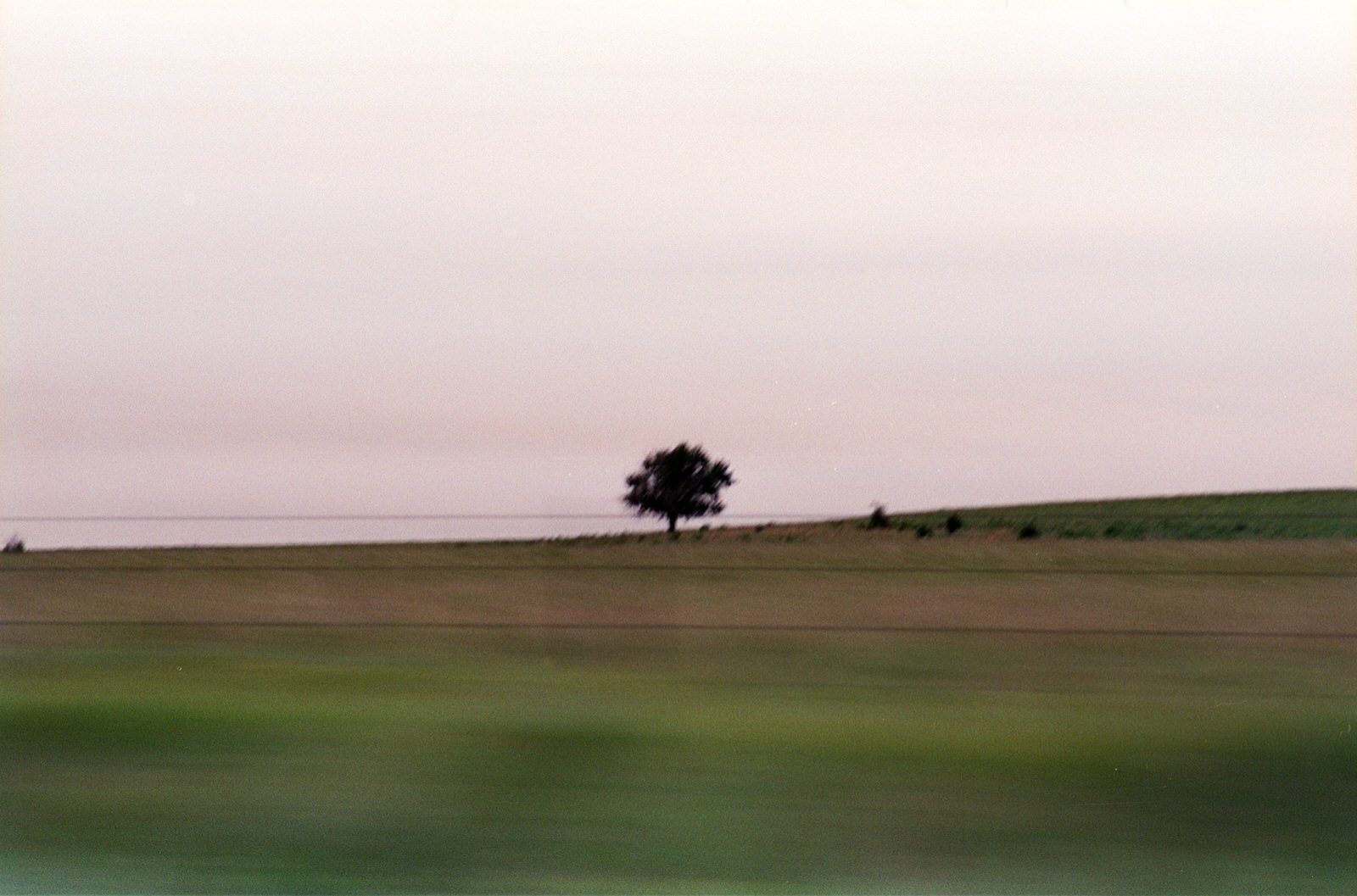 The stark loneliness of the lone tree in the vast open country.