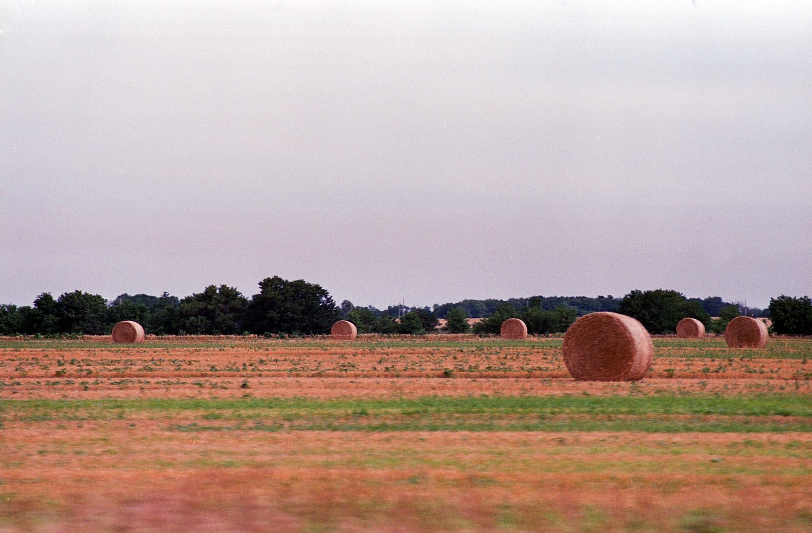 I think we just missed many of the fields with the long hay.  Already in bales now!