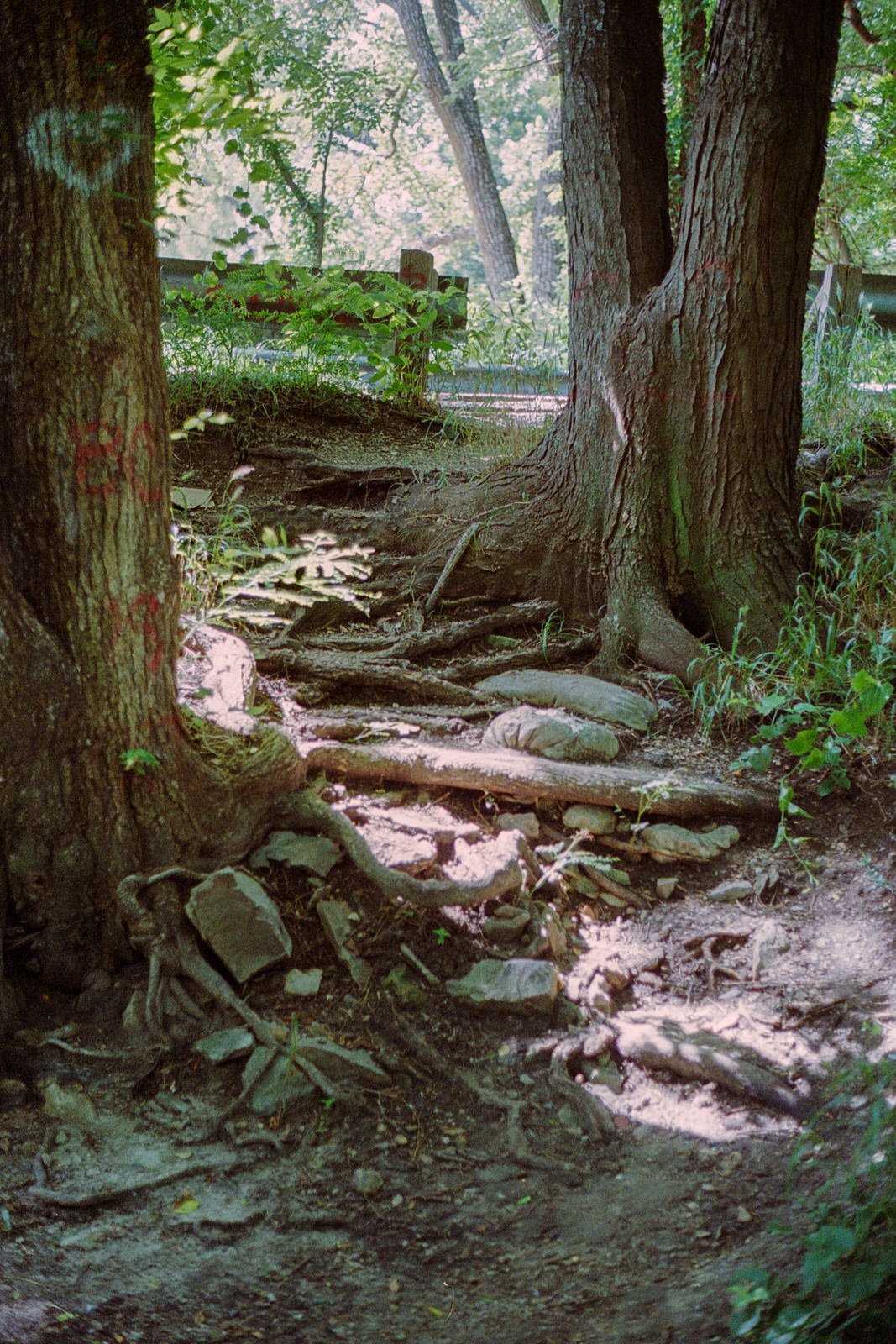 We took a shaded path down the embankment to get a closer look at the swift moving water.