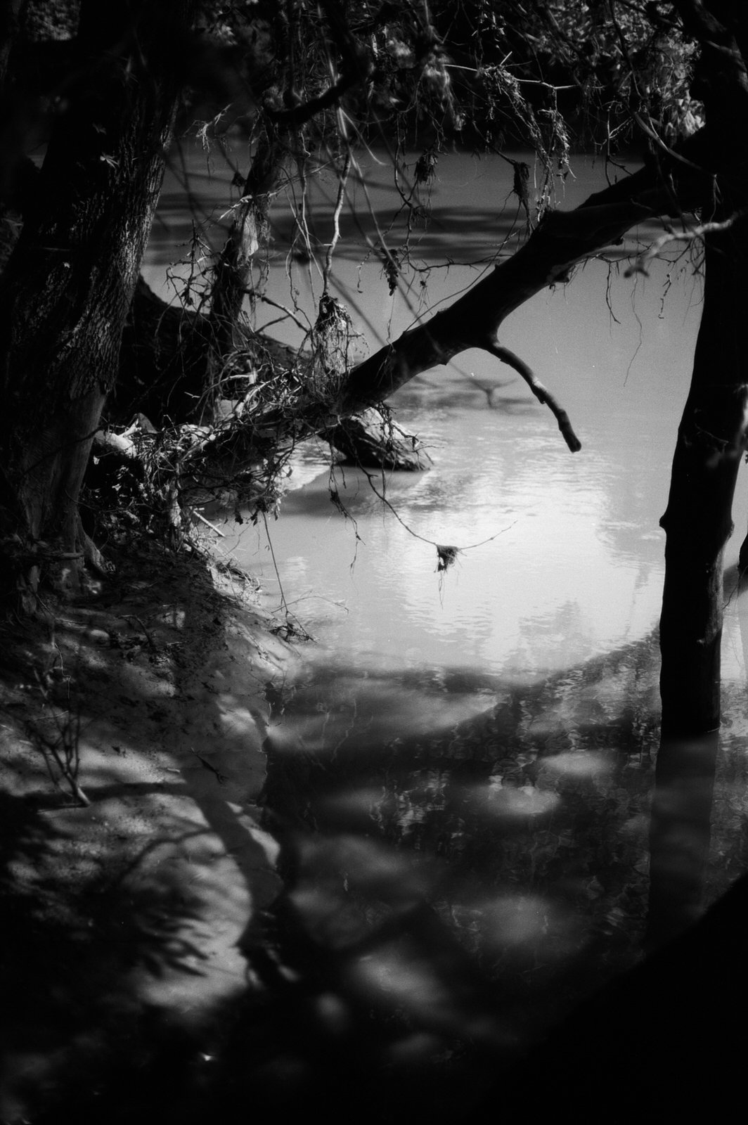 Bayou'ish is how it felt.  We were below water level at one point.