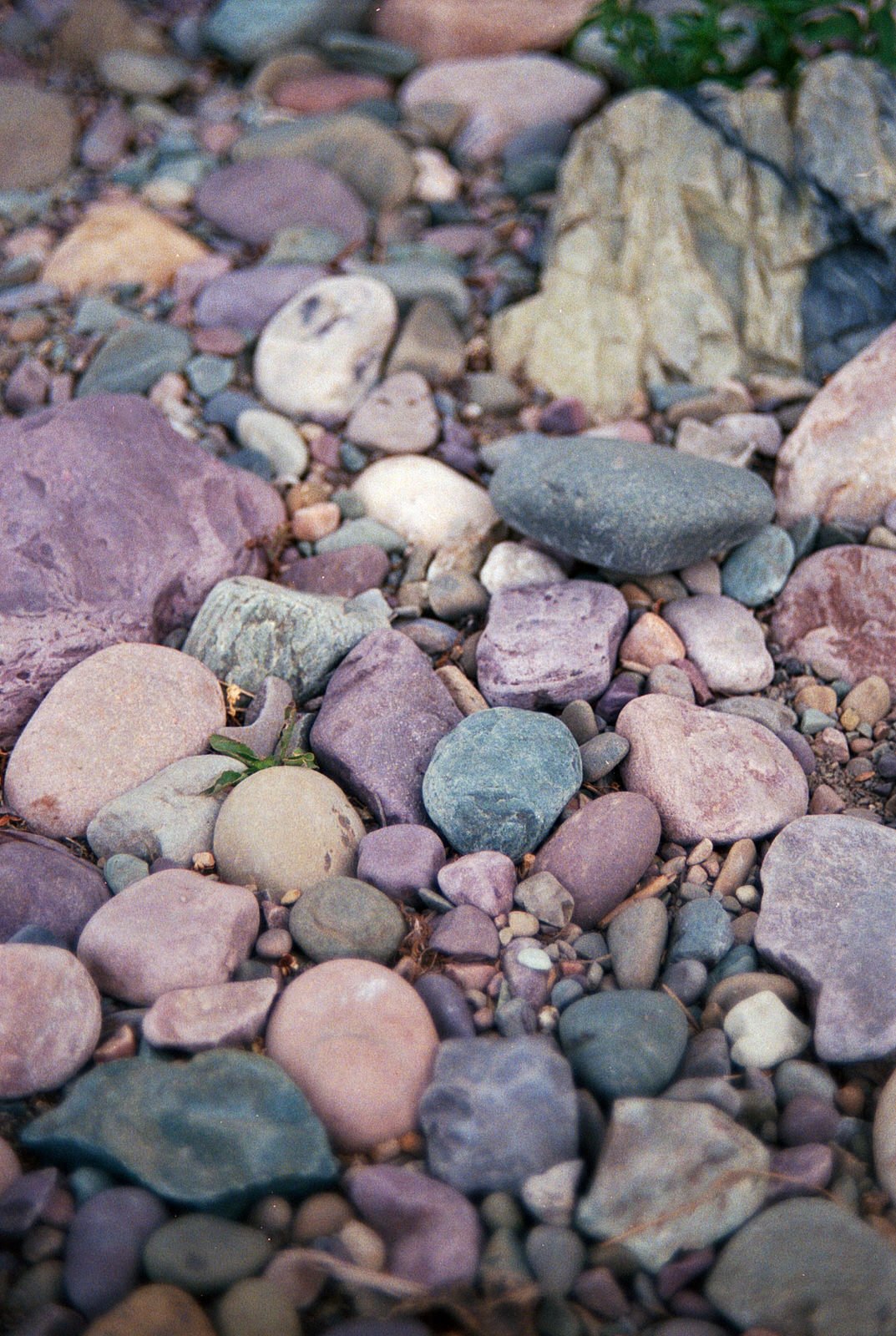 LOOK at the colors!! The water was low so we had a great view of what is usually covered up!