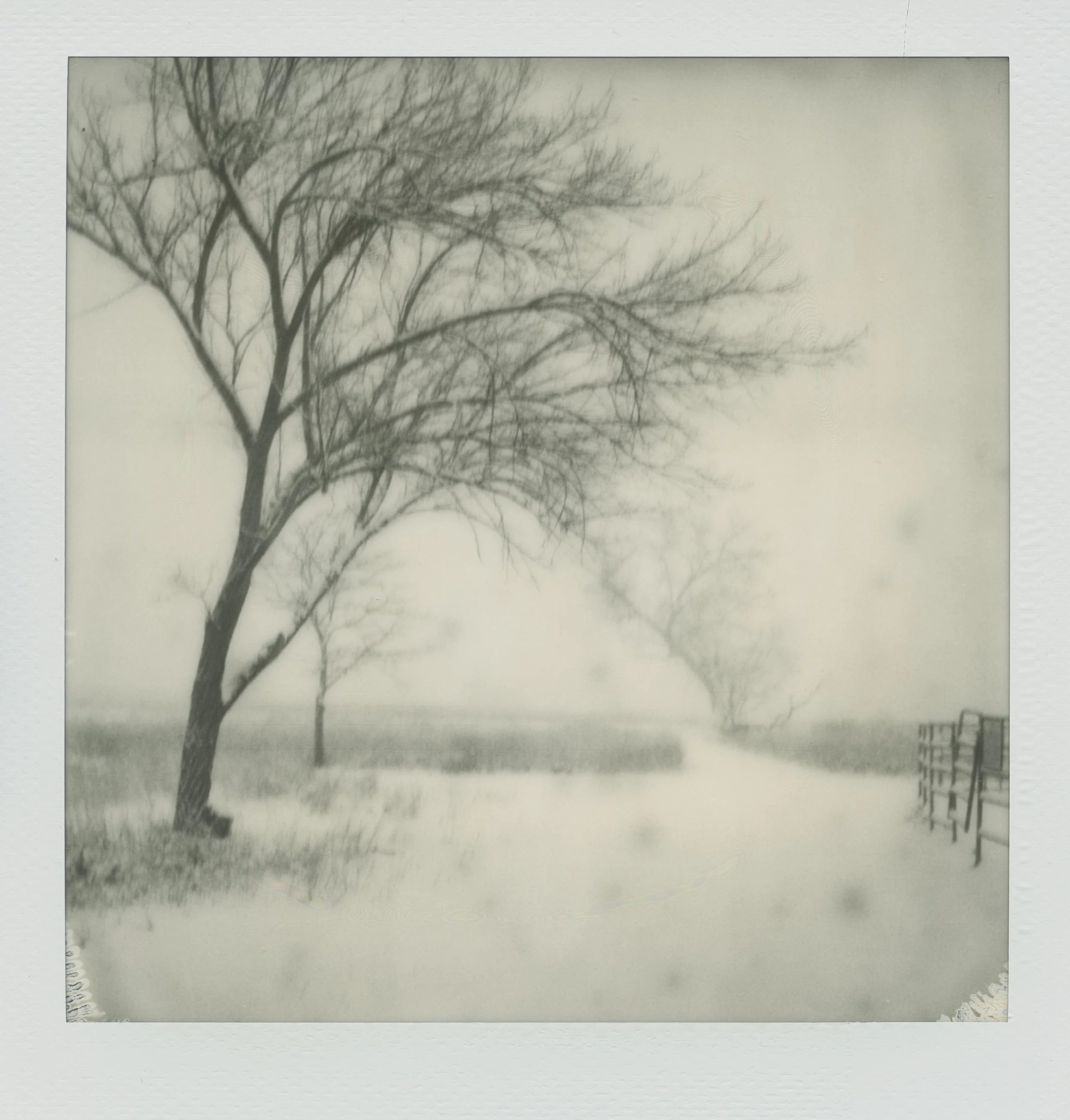 snowfall