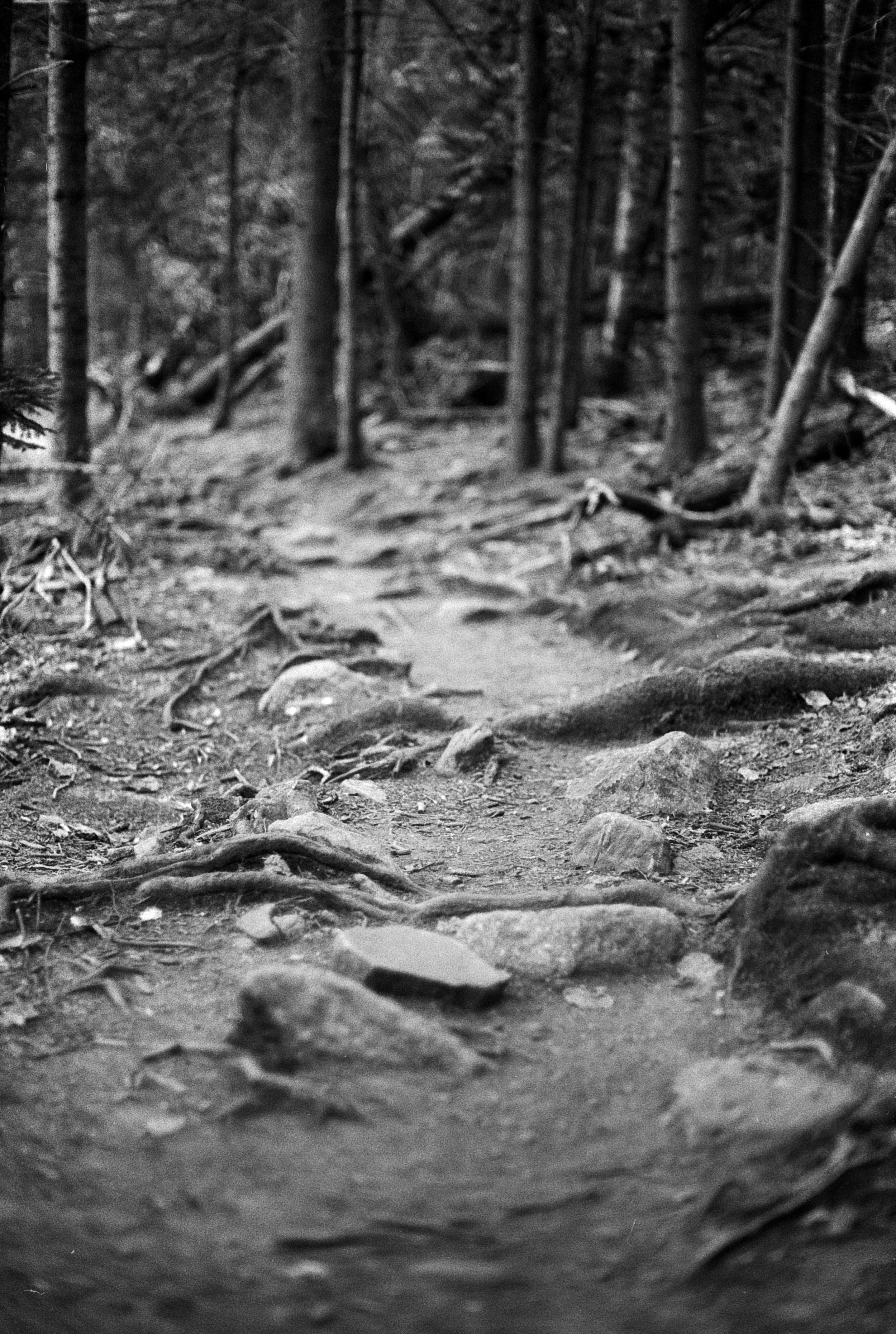 path