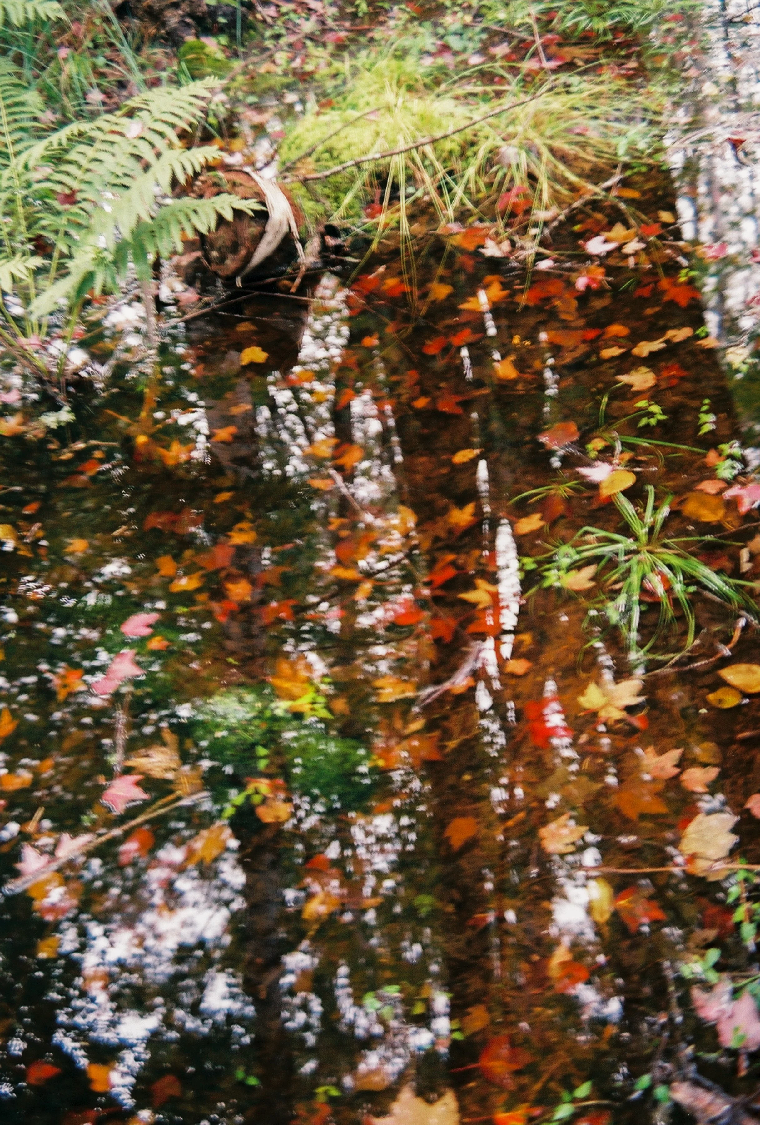 fall