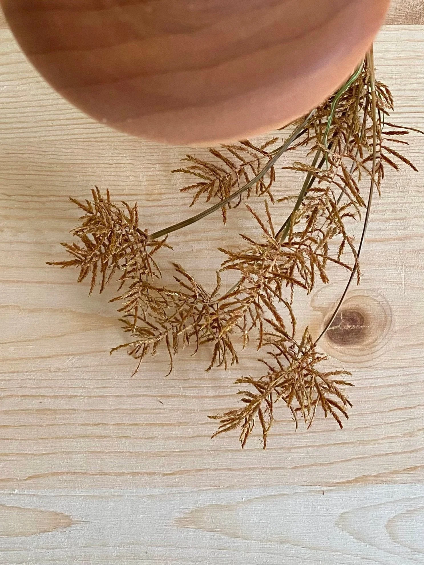Cork, wood & glass vase