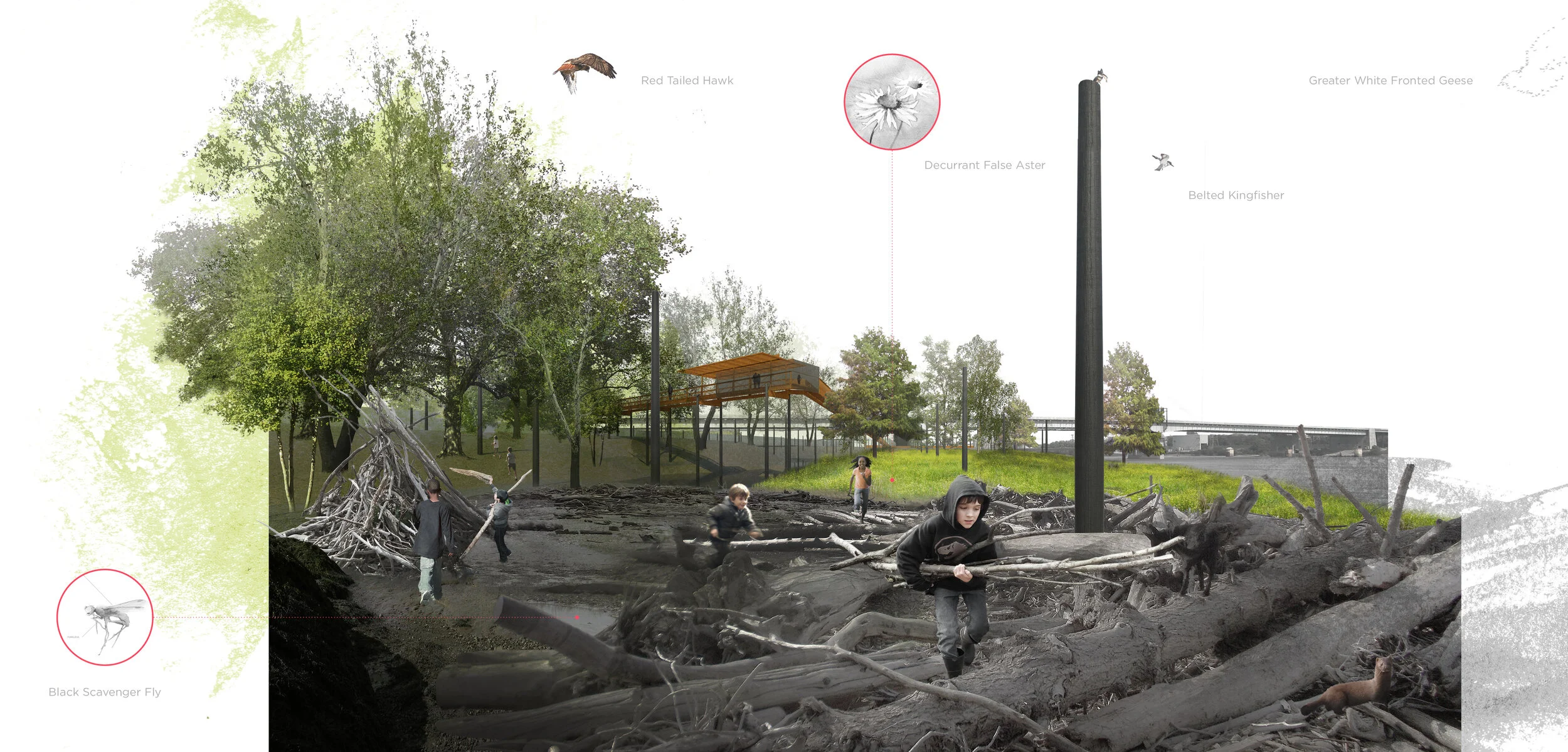 Fluvial_Park6.jpg