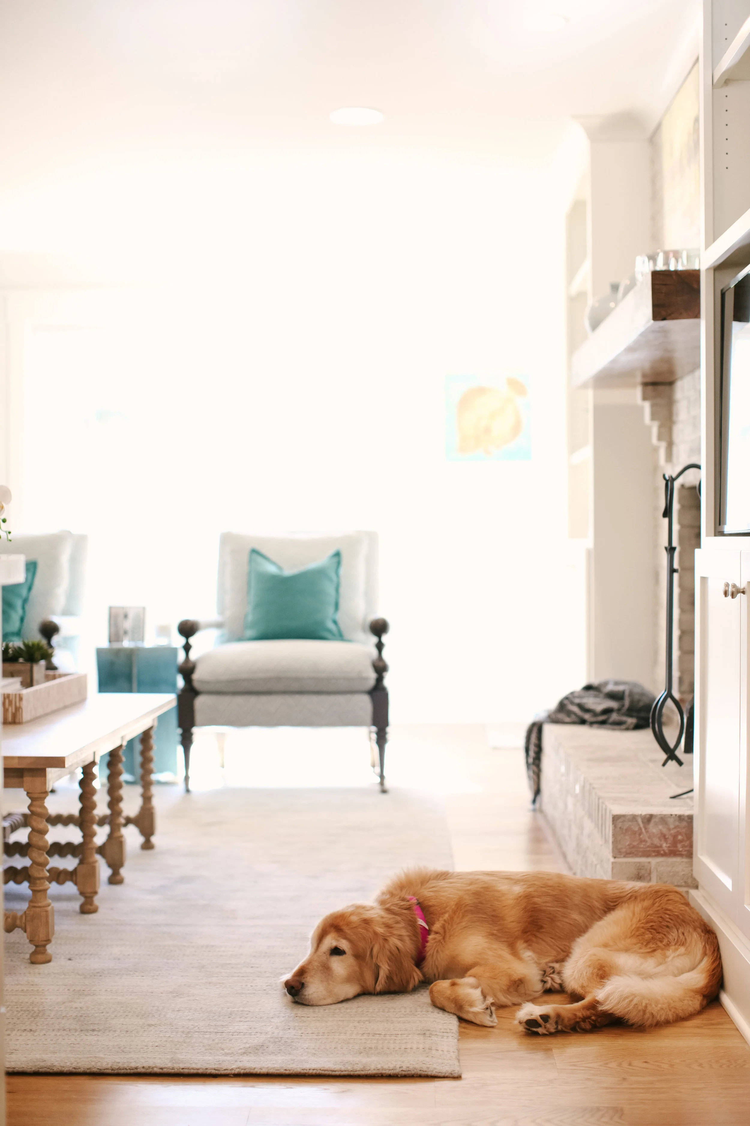 LOLAhouse-LOLAhouse-0024.jpg