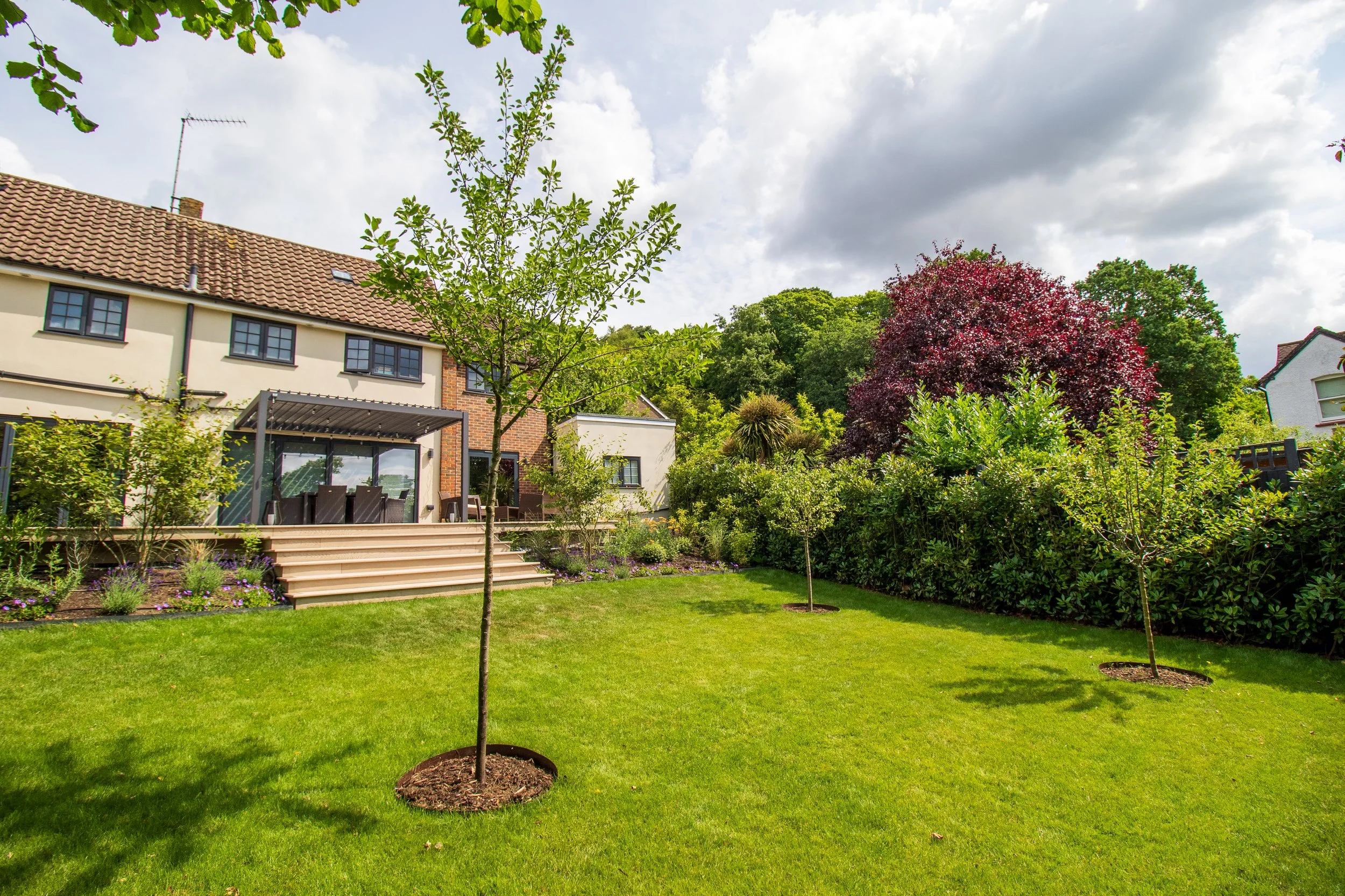 Ben Martin Garden Design_Fruit Trees_Redhill.JPG