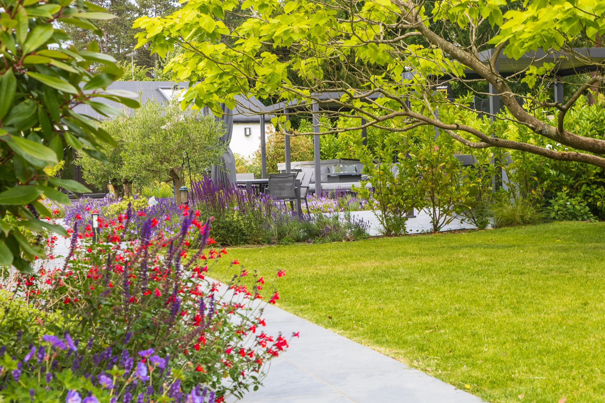 Ben Martin Garden Design_Planting_Warlingham.JPG