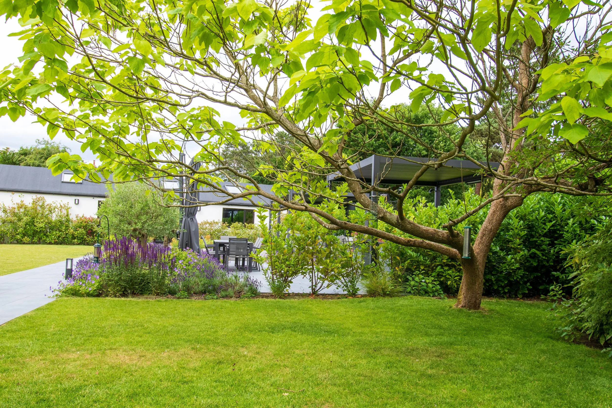 Ben Martin Garden Design_Planting_Pergola_Lighting_Warlingham.JPG