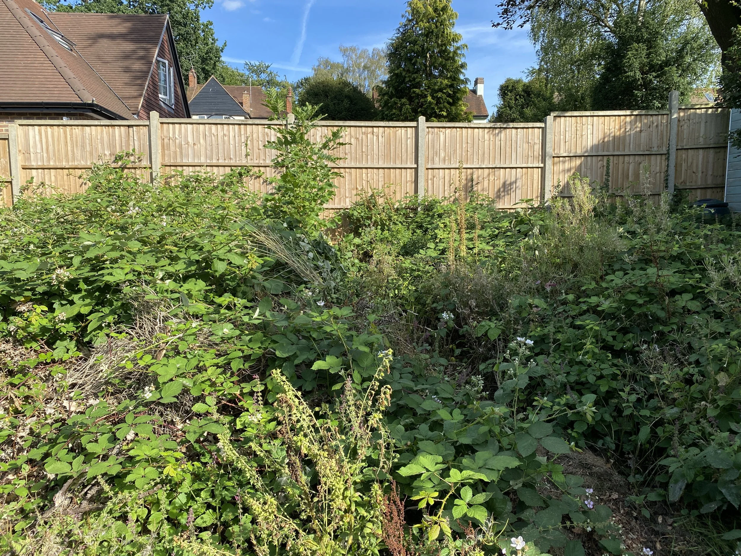 Ben Martin Garden Design_Before 3_Surrey.JPG