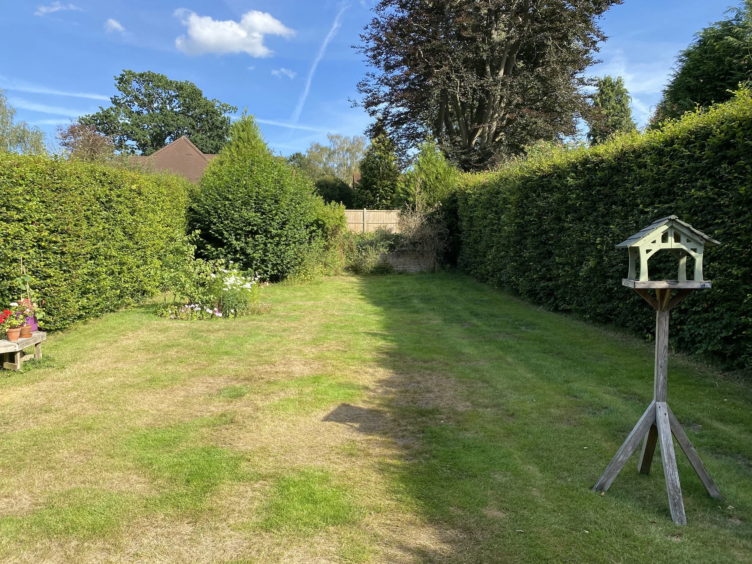 Ben Martin Garden Design_Before1-Surrey.JPG