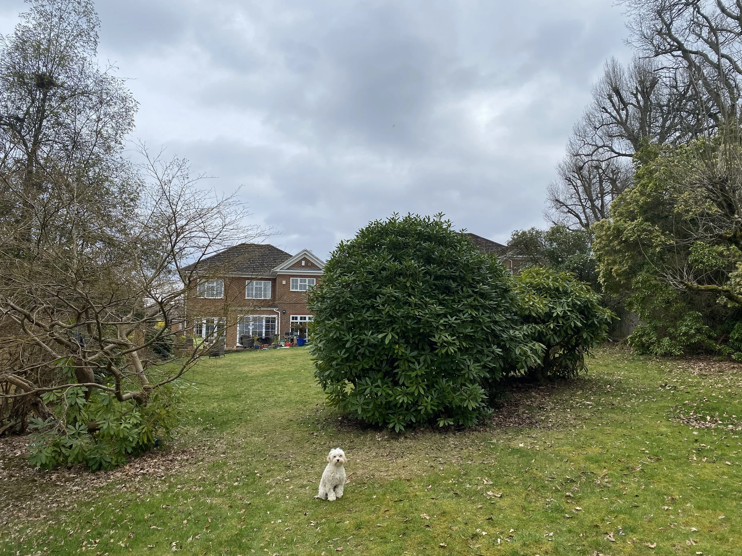 Ben Martin Garden Design_Before2-Kent.JPG