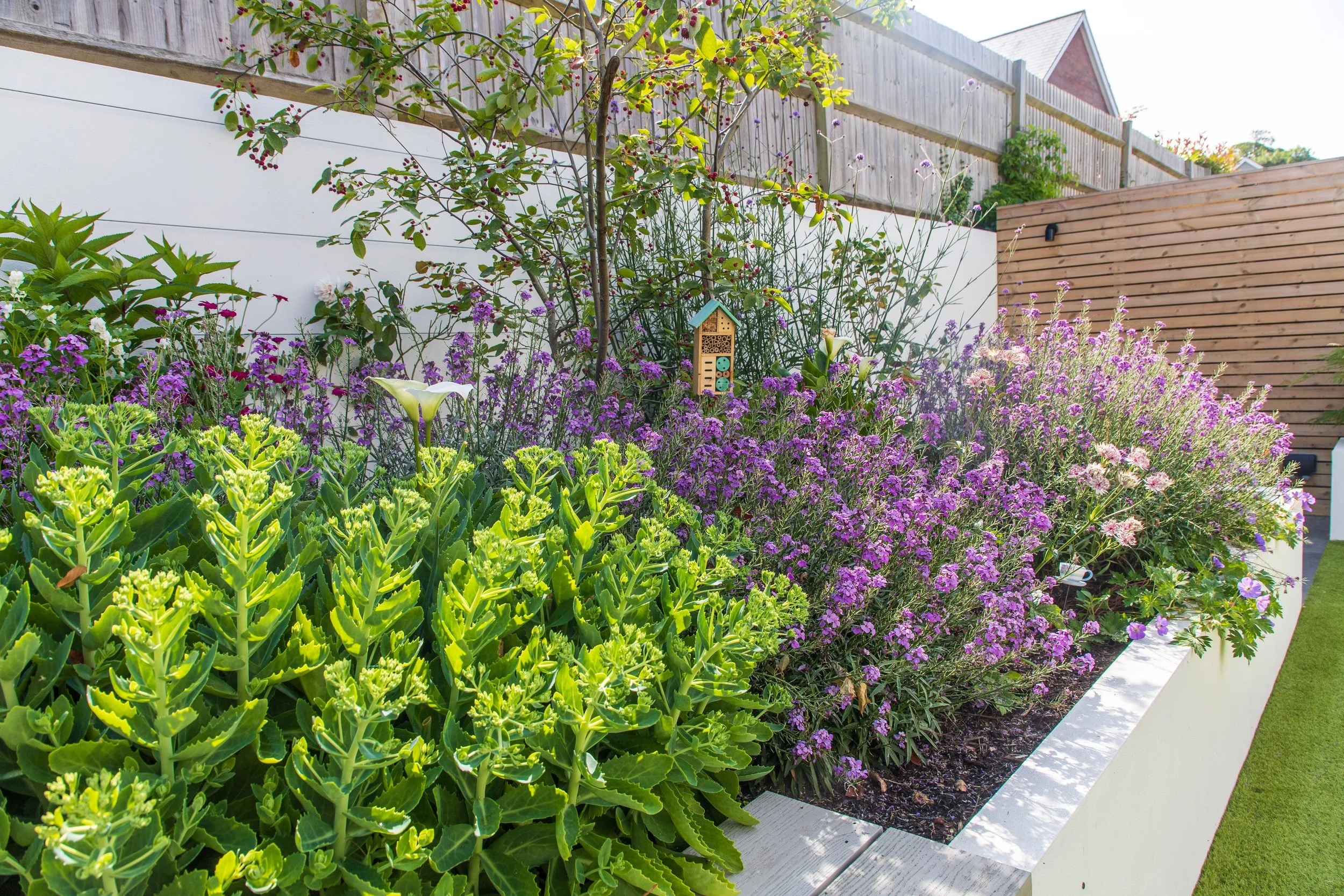 Ben Martin Garden Design_Planting_Kent.JPG