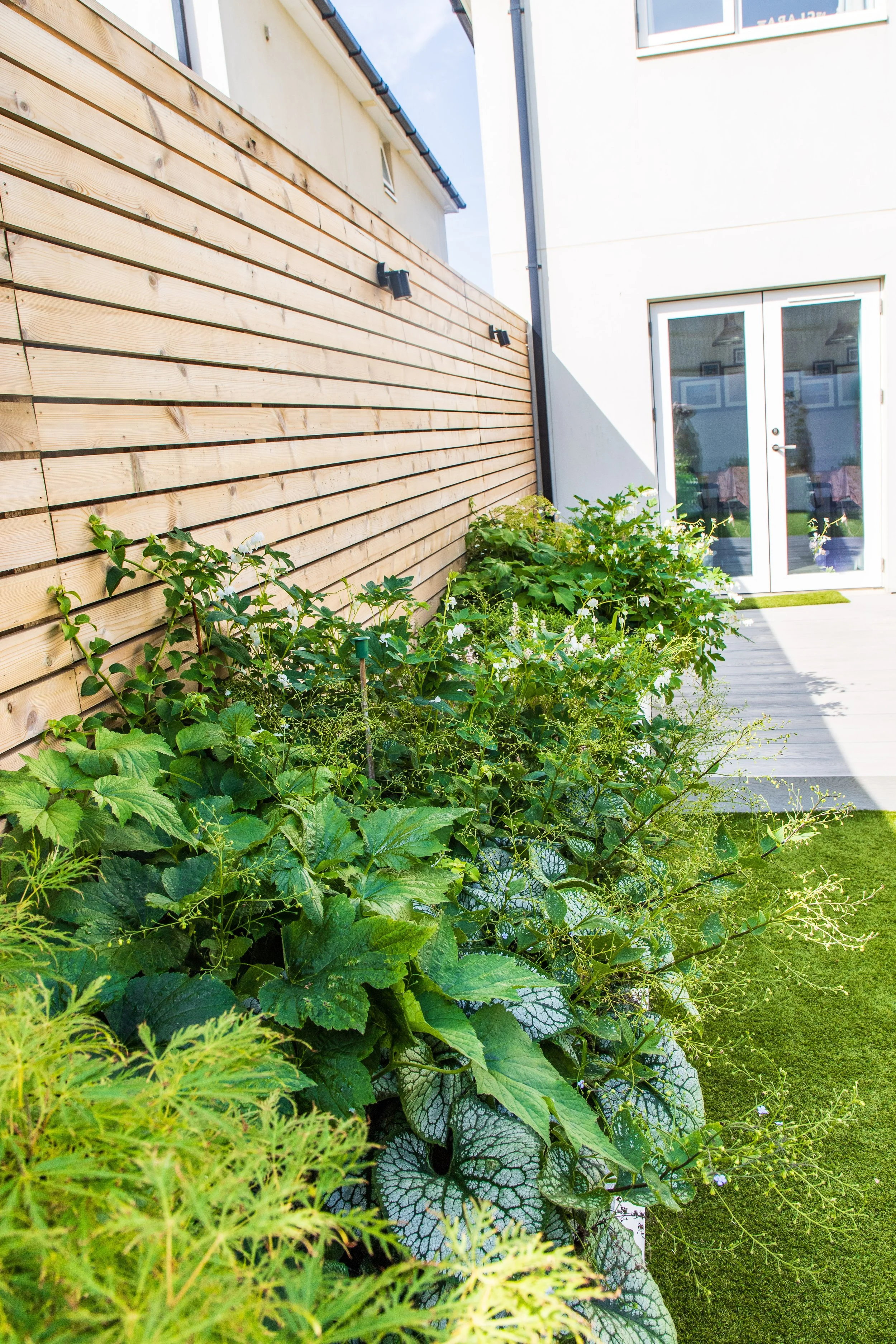 Ben Martin Garden Design_Planting_Millboard_Lawn_KentPlanting_Slatted fence_Lighting_Kent.JPG