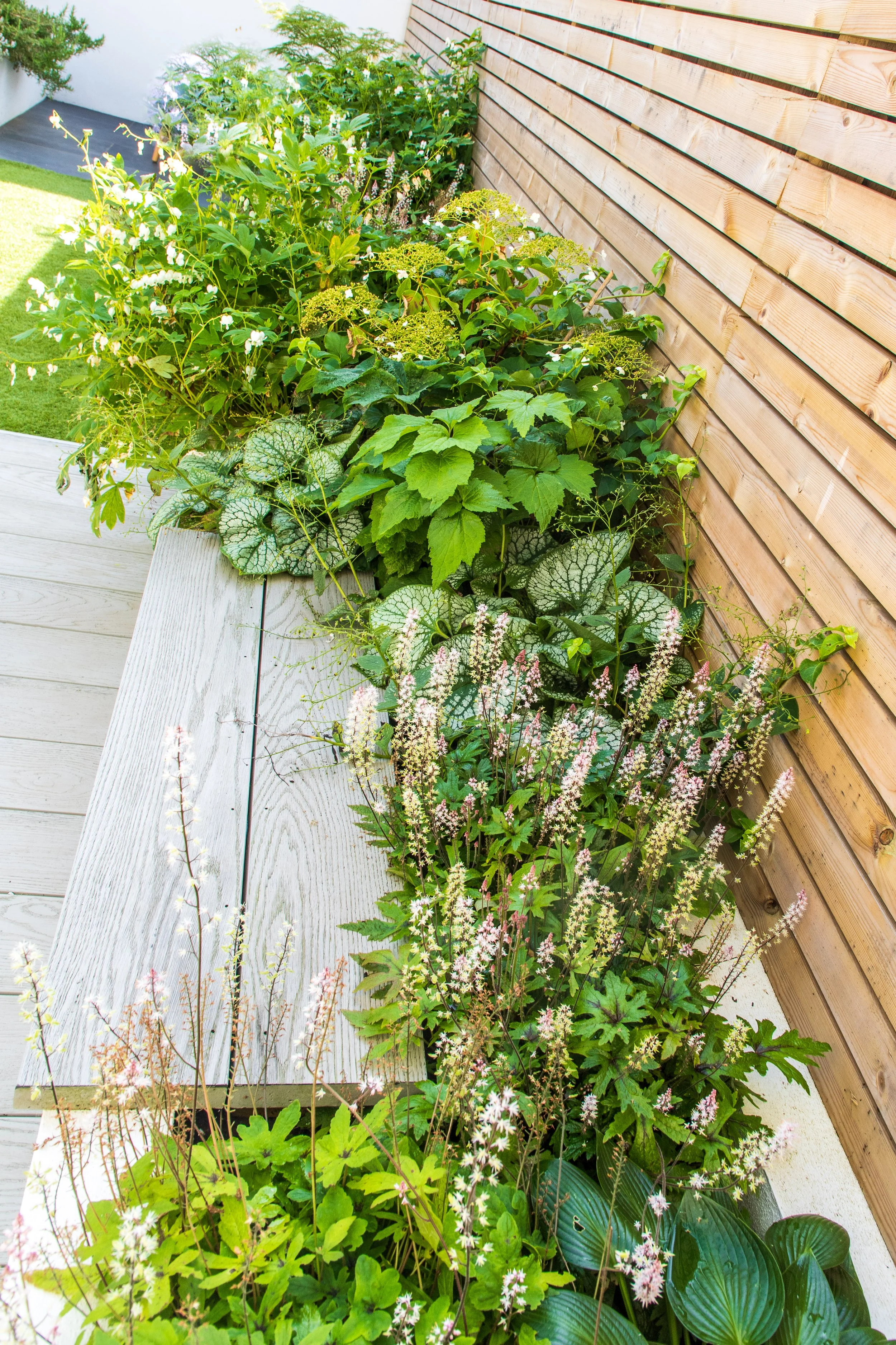 Ben Martin Garden Design_Planting_Seat_Slatted fence_Kent.JPG