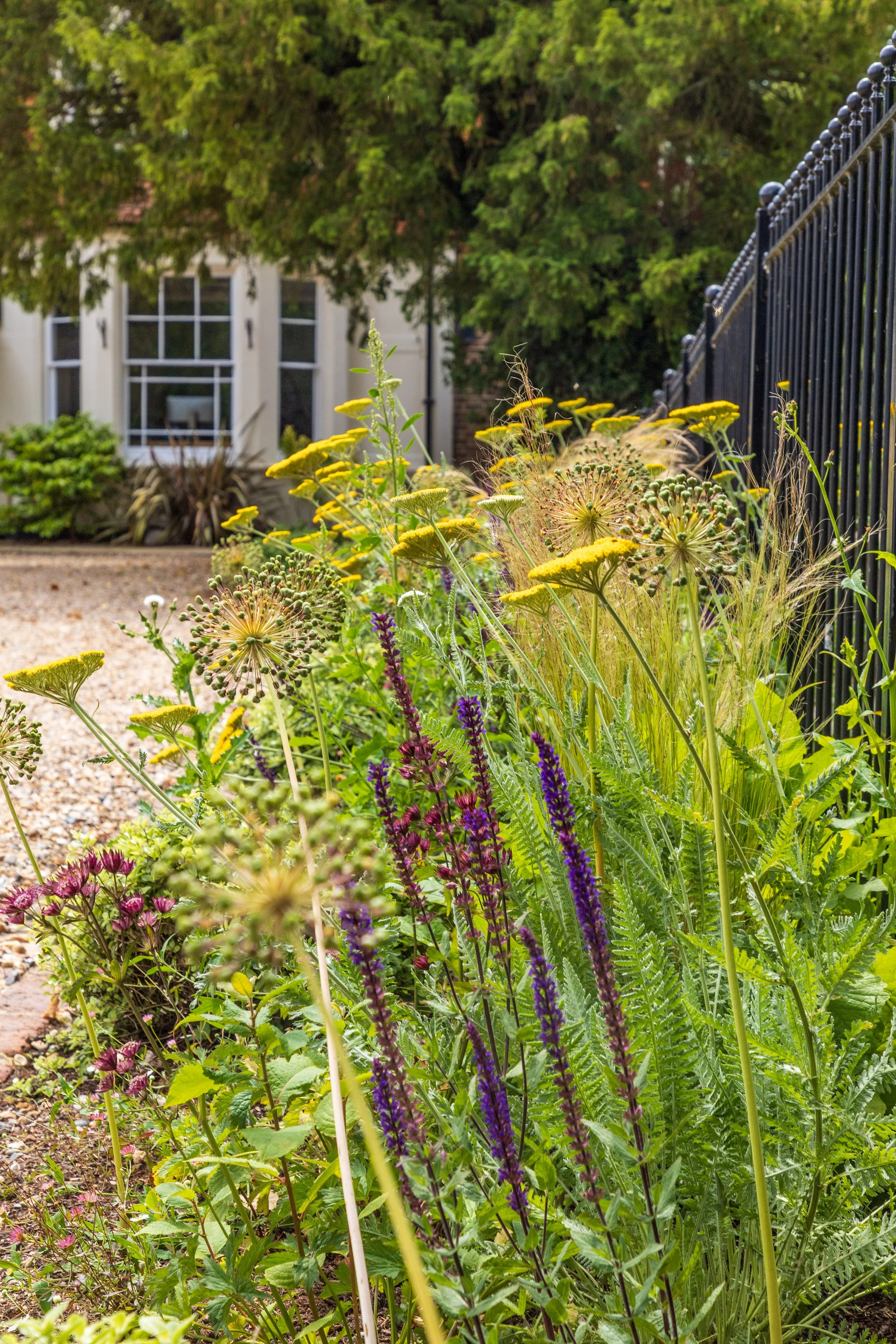 Ben Martin Garden Design_Planting_Surrey.JPG