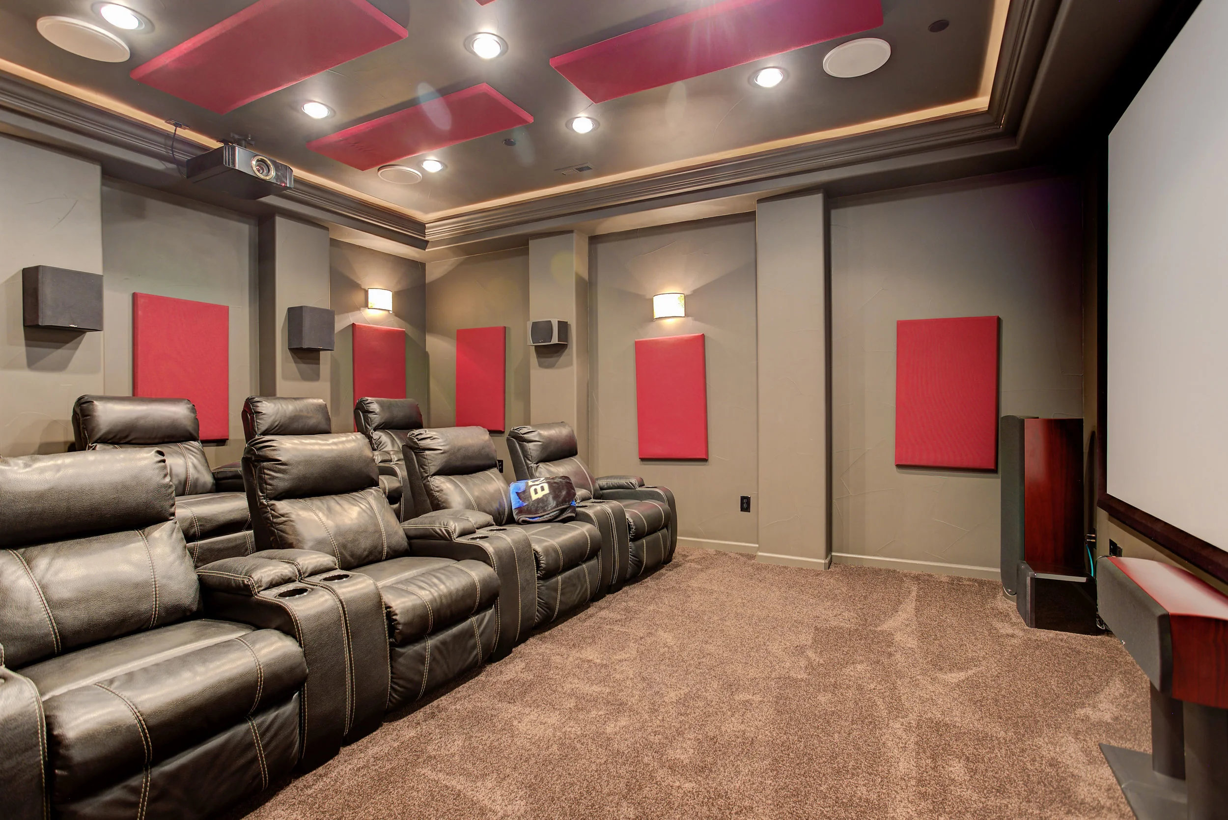 6256 Oxford Peak Ct_TheaterA.jpg
