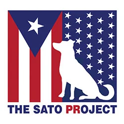 the-sato-project.jpg