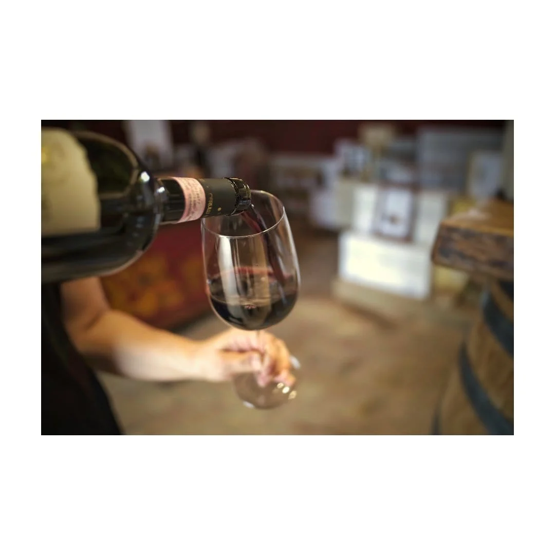 Tasting the incredible Torre Migliori Montepulcian d’Abruzzo at the vineyard of Cerulli Spinozzi, Canzano
