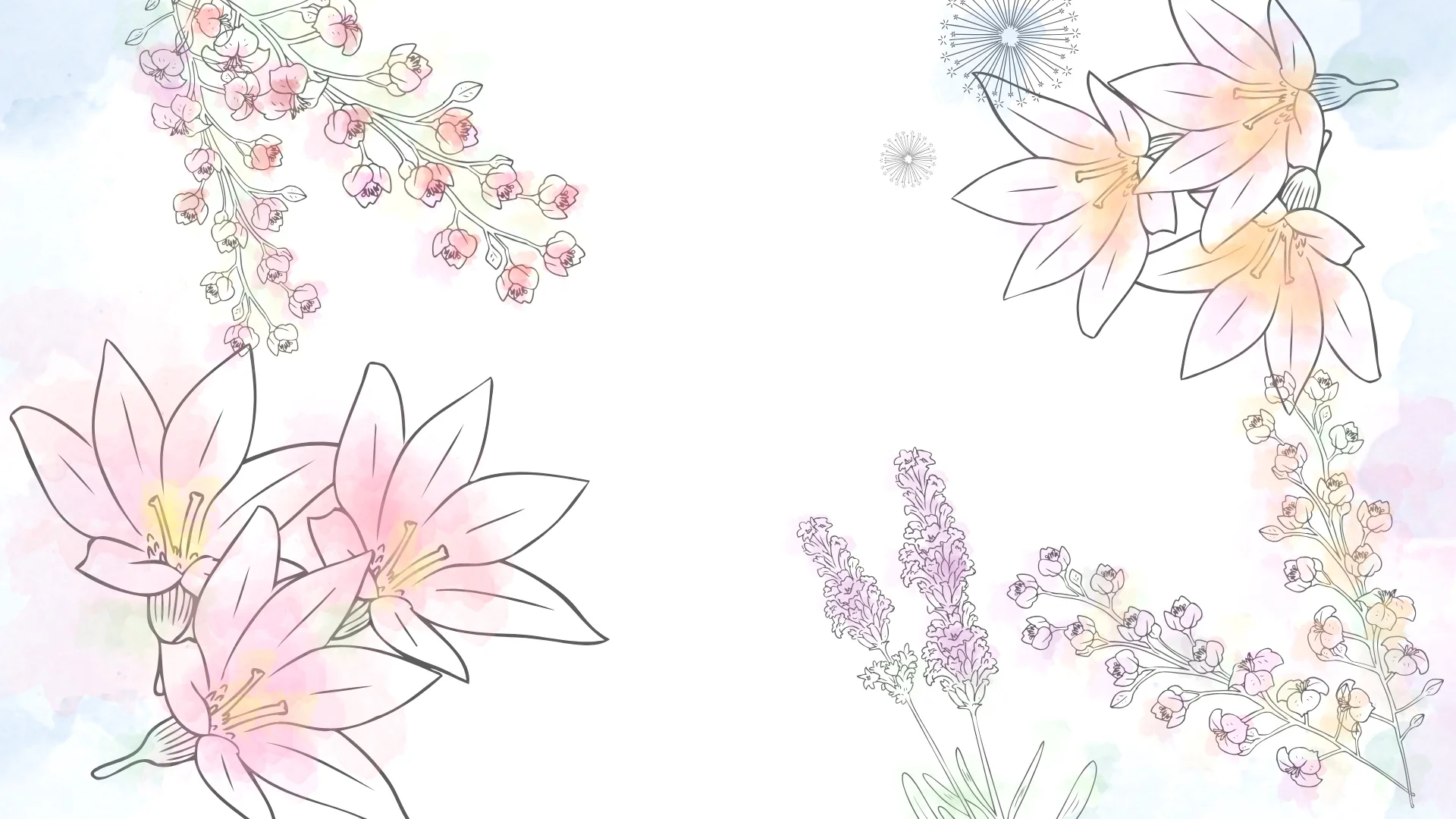 background_colored.jpg