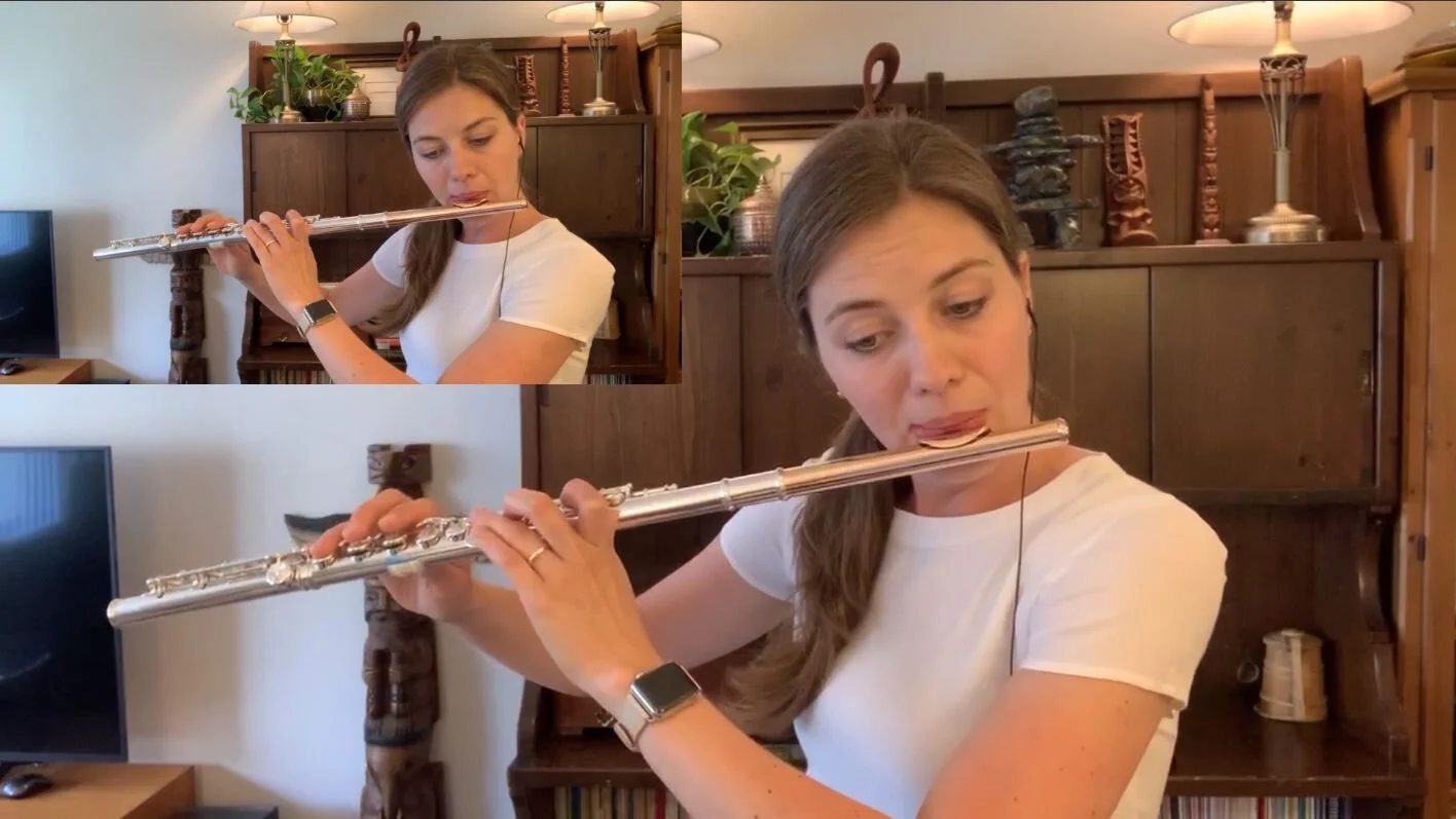 Listen: W. F. Bach Duo no.1, III. Vivace