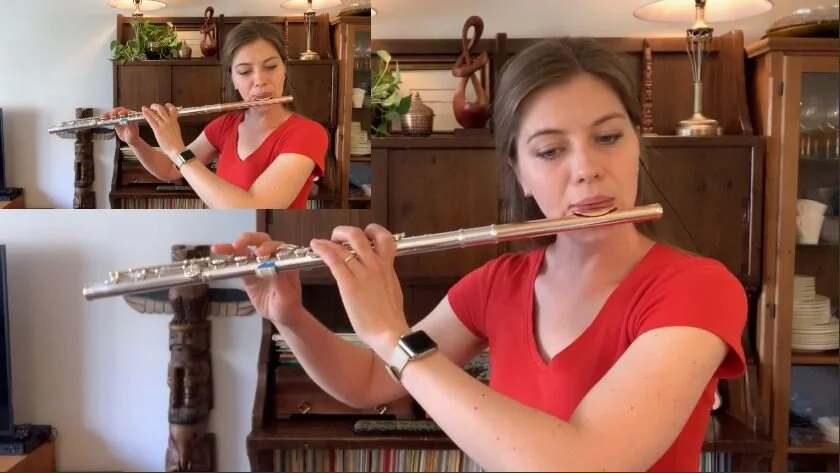 Flute Lesson: Gariboldi Flute Duet no.6