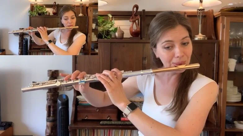 Flute Lesson: Gariboldi Flute Duet no.5